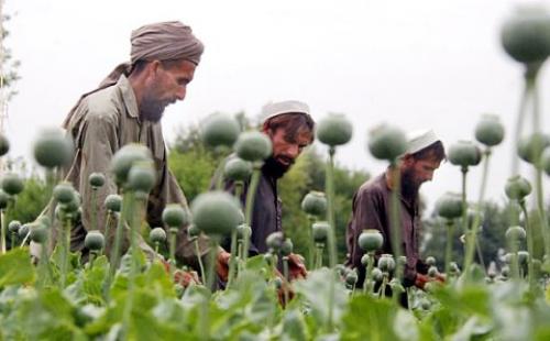 2010-01-19-afghan-opium.jpg