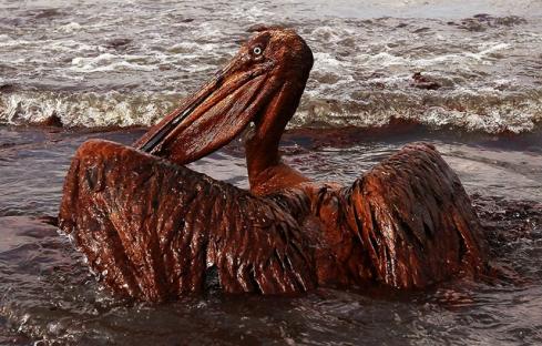 2010-06-14-oil-spill-07.jpg