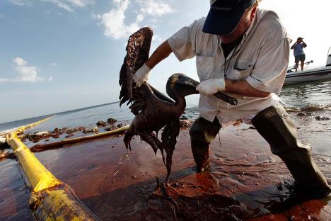 2010-06-14-oil-spill-10.jpg